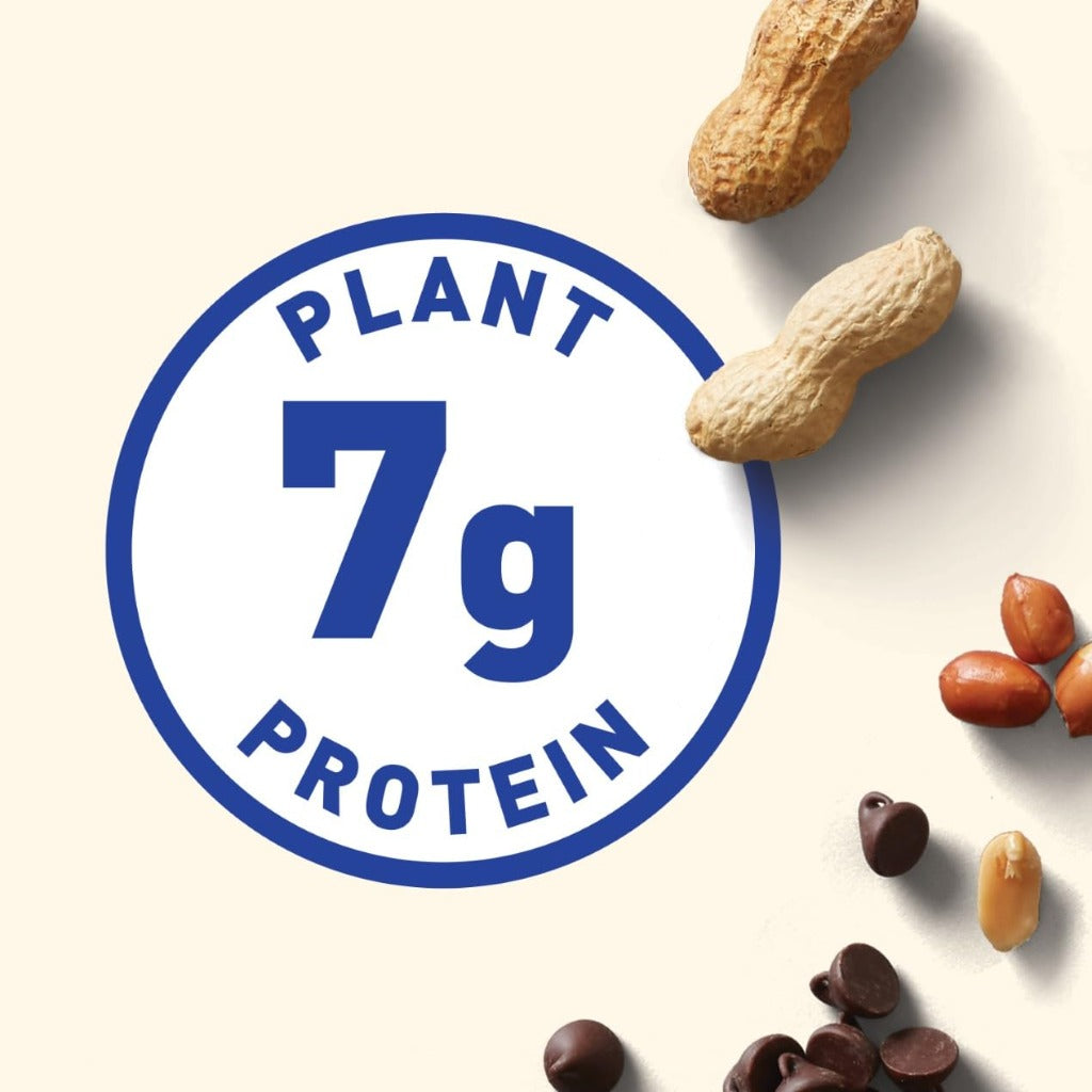 Clif Nut Butter Bar Chocolate Chip and Peanut Butter 12 x 50g Pack Organic Plant Based Protein Snack Bars 7g Protein Energy Bars - Damaged Box - BBE 04/2026