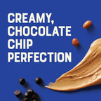 Clif Nut Butter Bar Chocolate Chip and Peanut Butter 12 x 50g Pack Organic Plant Based Protein Snack Bars 7g Protein Energy Bars - Damaged Box - BBE 04/2026