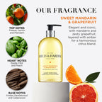 Baylis & Harding Sweet Mandarin & Grapefruit Hand Wash – 3 x 500ml – Vegan Friendly Hand Soap Bulk Pack