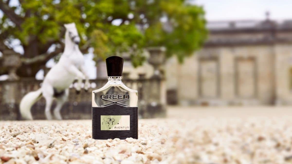CREED Aventus Eau de Parfum Spray for Men 50ml - Luxury Fragrance for Him