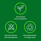 Dettol Antibacterial Multi Surface Cleaning Wipes, Crisp Pear, 350 Wipes (50 x 7pck) Plant-Based, Disinfectant, Biodegradable, Kills 99.9 Percent of Germs - Damaged Box