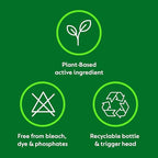 Dettol Antibacterial Multi Surface Cleaning Wipes, Crisp Pear, 350 Wipes (50 x 7pck) Plant-Based, Disinfectant, Biodegradable, Kills 99.9 Percent of Germs - Damaged Box