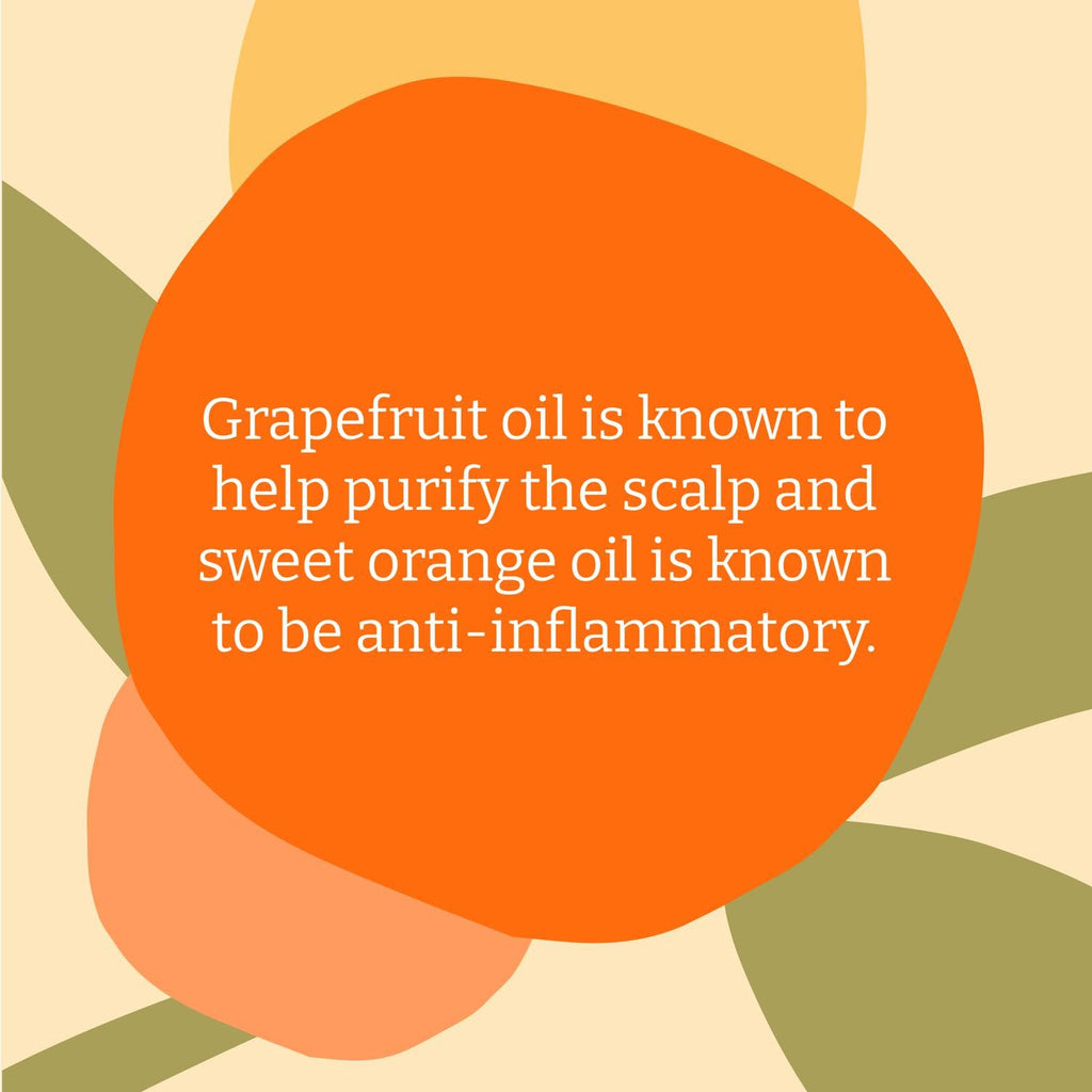 Faith In Nature Grapefruit and Orange Shampoo 5L Refill Bottle Purifying Hair Care for Oily Scalp Vegan and Paraben Free Bulk Pack