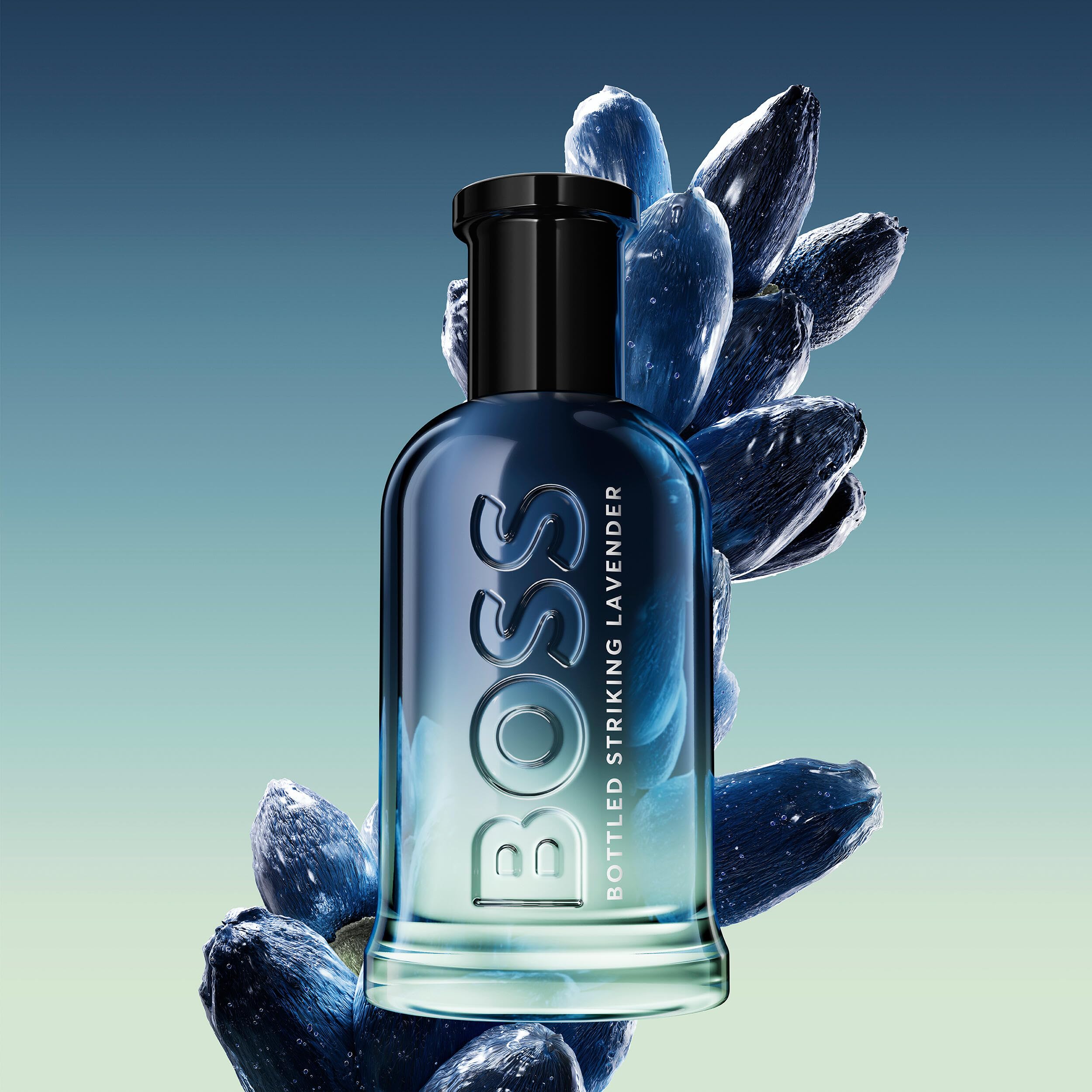 BOSS Bottled Striking Lavender Eau de Parfum for Men, With Notes of Fougere and Woody Moss 50ml - Damaged Box