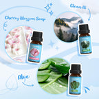 SALKING Clean Fragrance Oils Gift Set - Diffuser, Soap & Candle Making - Lemongrass, Cotton, Linen, Cherry Blossom, Clean Air, Aloe - Damaged Box - BBE 03/2029