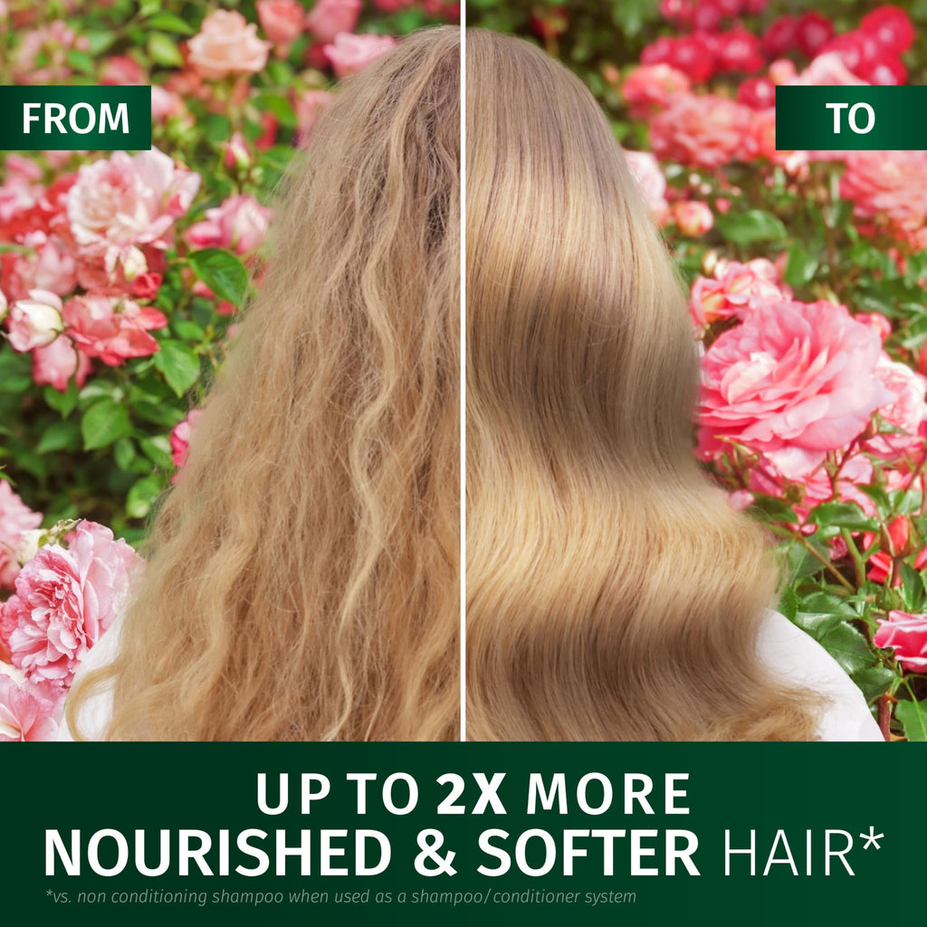 Herbal Essences Rose Scent Petal Soft Giftset: Shampoo 250ml, Conditioner 200ml, Leave-In Spray 145ml - Damaged Box