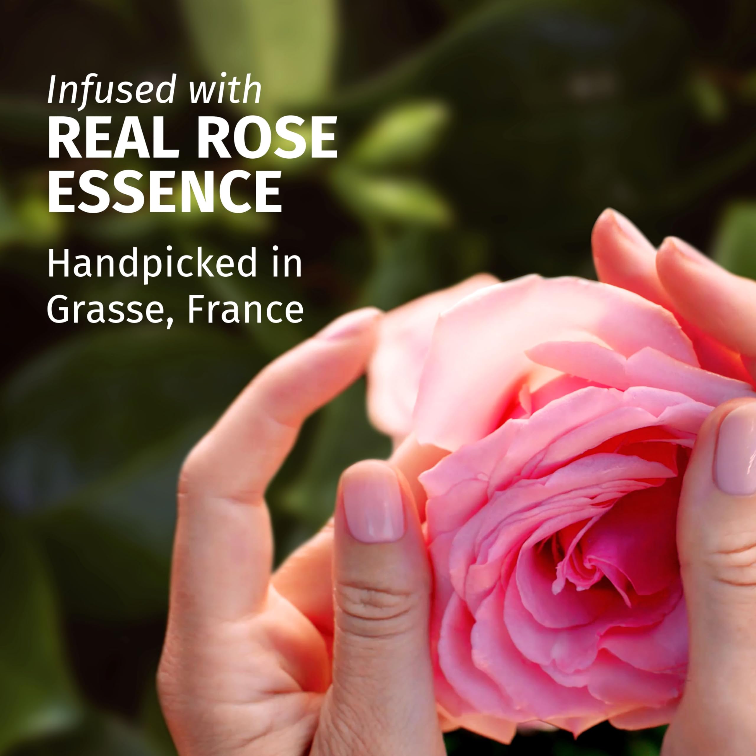 Herbal Essences Rose Scent Petal Soft Giftset: Shampoo 250ml, Conditioner 200ml, Leave-In Spray 145ml - Damaged Box
