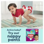 Pampers Premium Protection New Baby Nappies Size 2, 240 Count, 4-8kg Monthly Pack - Damaged Box