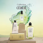 L'OCCITANE - C'edrat Deodorant Stick - 70 g - Aluminum-Free and alcohol-free formula - Made in France