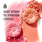 Clinique Cheek Pop Powder Blush | Long Lasting And Buildable, Vibrant Yet Natural-Looking Colour - Damaged Box