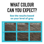 Just for men Moustache & Beard Real Black Dye , Eliminates Grey for a Thicker & Fuller Look M55 - Damaged Box