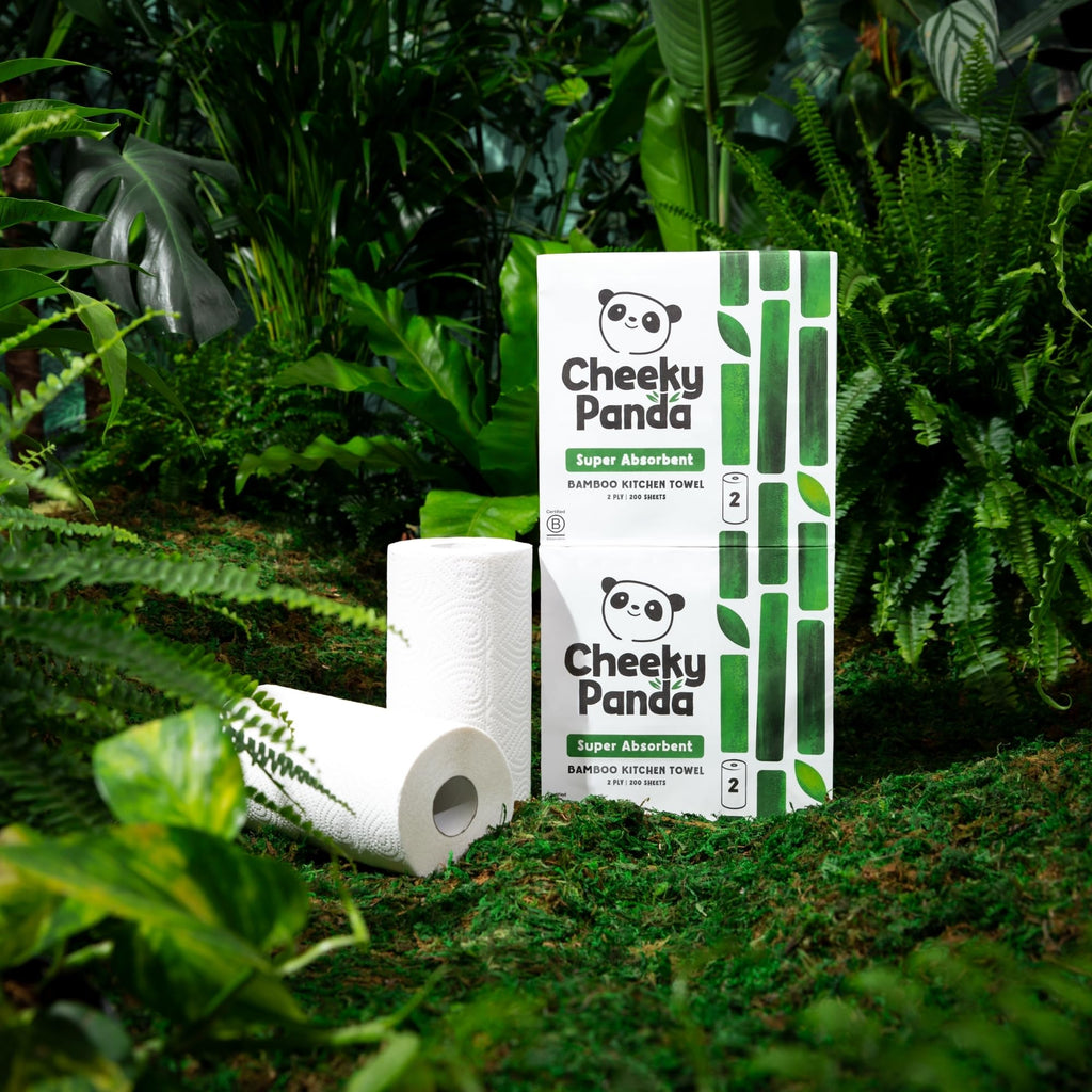 The Cheeky Panda Bamboo Kitchen Roll - 10 Rolls, 1000 Sheets, Strong Absorbent Plastic-Free Paper Towels - Damaged Box