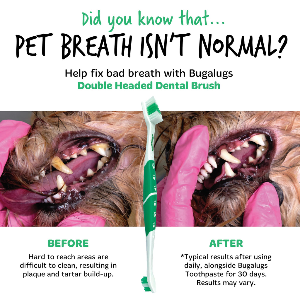 Bugalugs Dog Toothbrush & Cat Toothbrush Dual Ended Dog Plaque Remover, Our Dental Dog Teeth Cleaning Products Makes Dog Teeth Cleaning Easier use with Dog Toothpaste & Cat Toothpaste (Twin Pack)