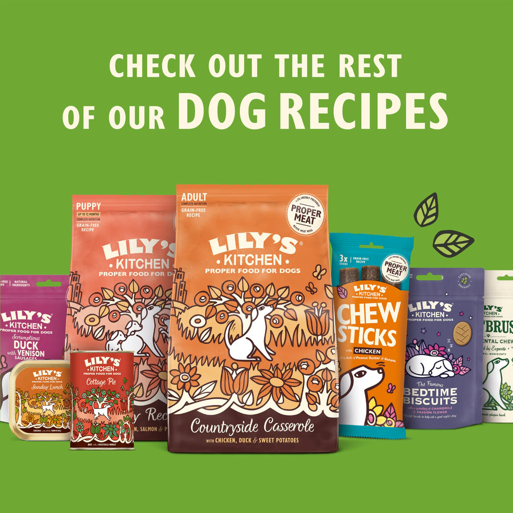 Lily's Kitchen Made with Natural Ingredients Adult Dry Dog Food Chicken & Duck Grain-Free Recipe 7kg Bag - Damaged Box - BBE 06/2027