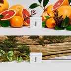 Fussy - Mens Natural Refillable Deodorant - Aluminium Free - 24 Hour Protection - Midnight Black Case & Variety Refill Pack (2 x 40g) - Wide Eyed & Forest Haze - Vegan & Cruelty Free - New
