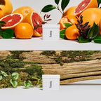 Fussy - Mens Natural Refillable Deodorant - Aluminium Free - 24 Hour Protection - Midnight Black Case & Variety Refill Pack (2 x 40g) - Wide Eyed & Forest Haze - Vegan & Cruelty Free - New