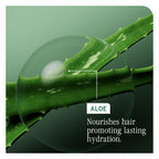 Biolage Hydra Source Deep Treatment Mask - Hydrating Hair Mask for Dry Hair - 100ml Single Pack - New