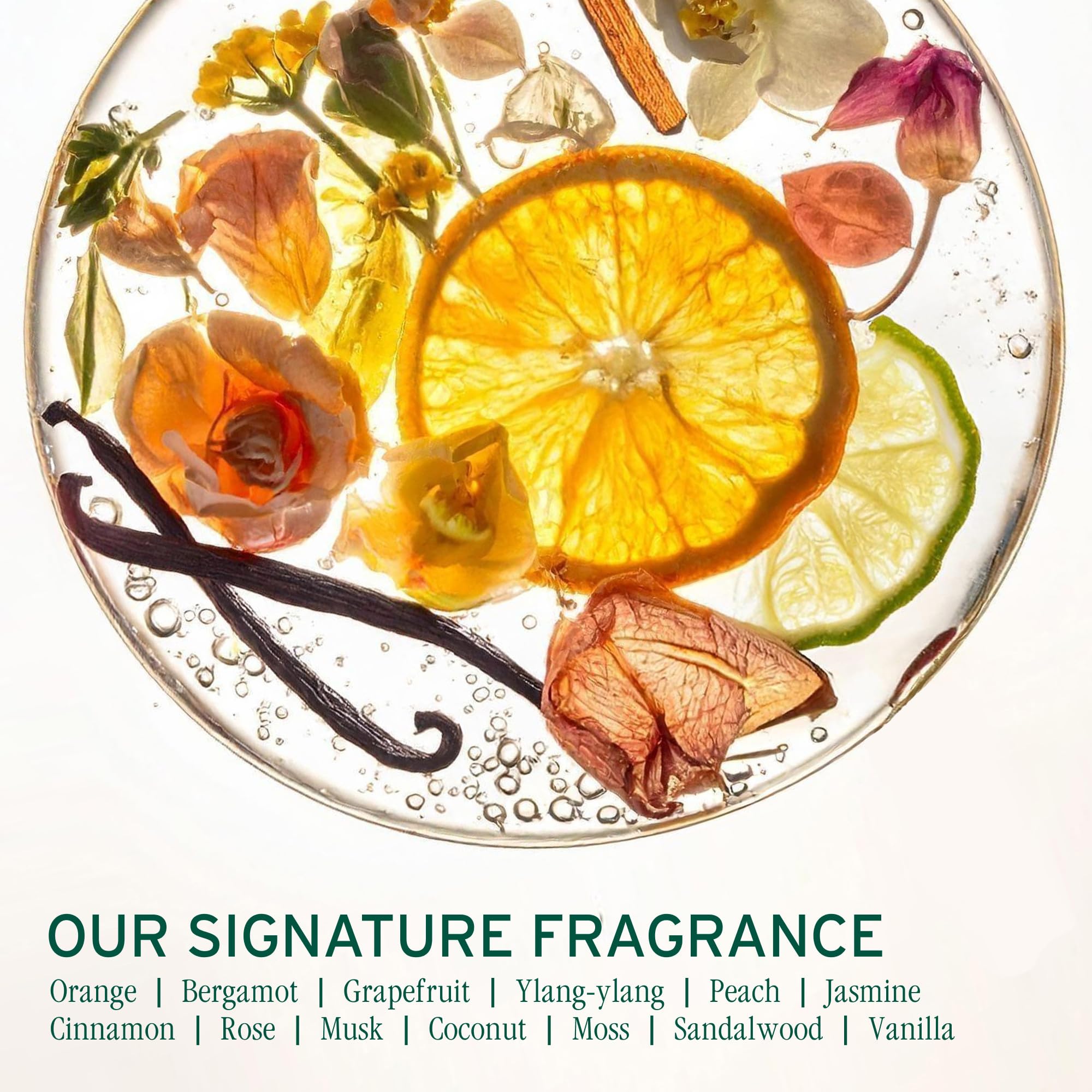 Biolage Hydra Source Deep Treatment Mask - Hydrating Hair Mask for Dry Hair - 100ml Single Pack - New