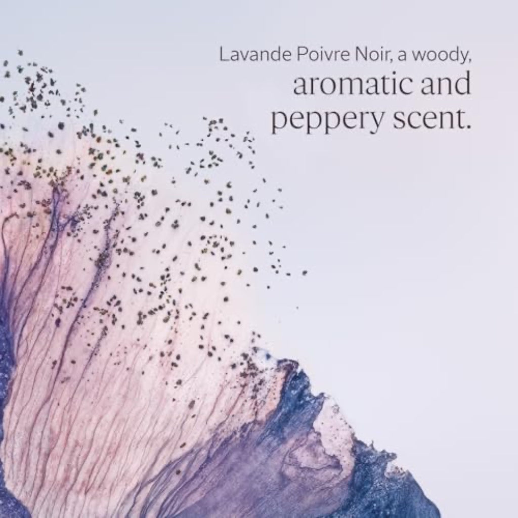 L'OCCITANE - Lavande Poivre Noir (formerly L'Occitan) Eau de Toilette - 50 ml - Woody, aromatic and peppery fragrance - Made in France - Damaged Box