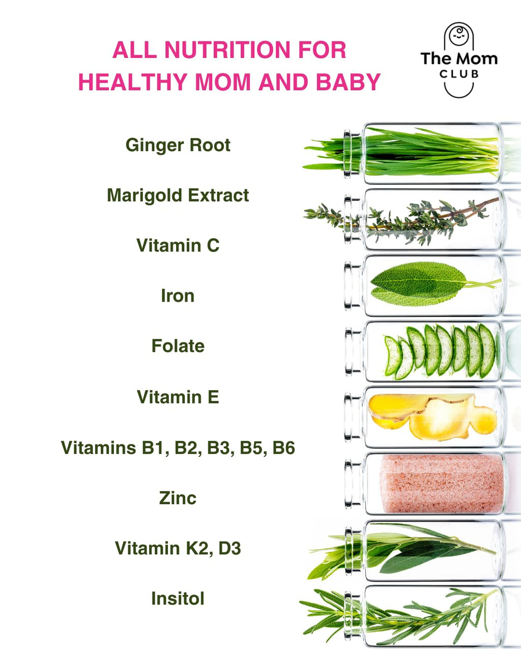 Pregnancy Vitamins for Women - 1st Trimester Prenatal Supplement - Folic Acid, Iron, B6, Ginger - 30 Vegan Capsules - Morning Sickness - New - BBE 09/2026