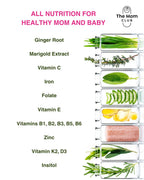 Pregnancy Vitamins for Women - 1st Trimester Prenatal Supplement - Folic Acid, Iron, B6, Ginger - 30 Vegan Capsules - Morning Sickness - New - BBE 09/2026