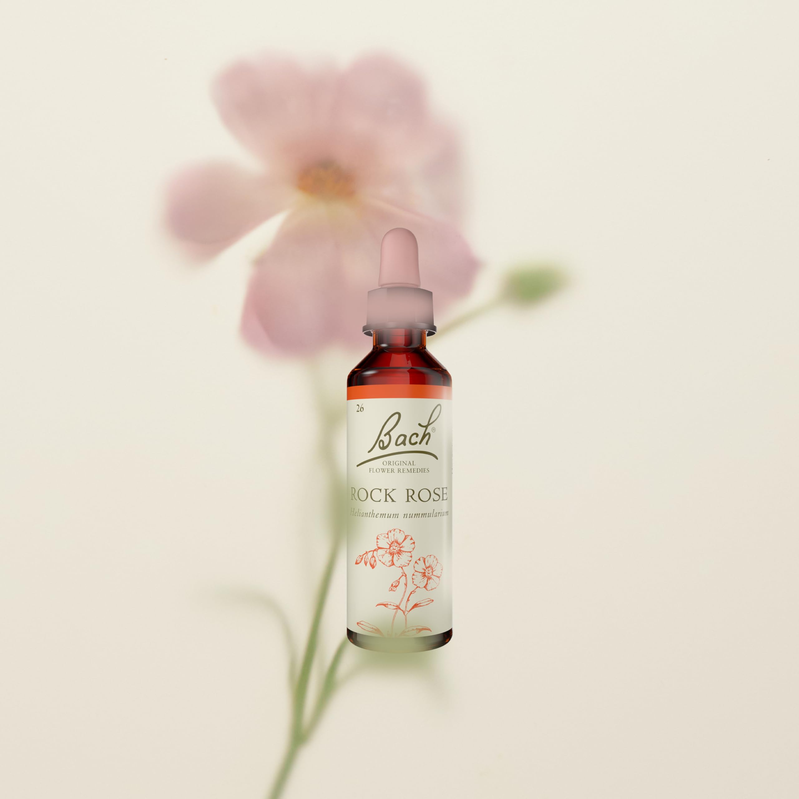 Bach Original Flower Remedies Rock Rose, Face Your Fears, Be Fearless, Emotional Wellness, Natural Flower Essence, 20ml - New - BBE 07/2030