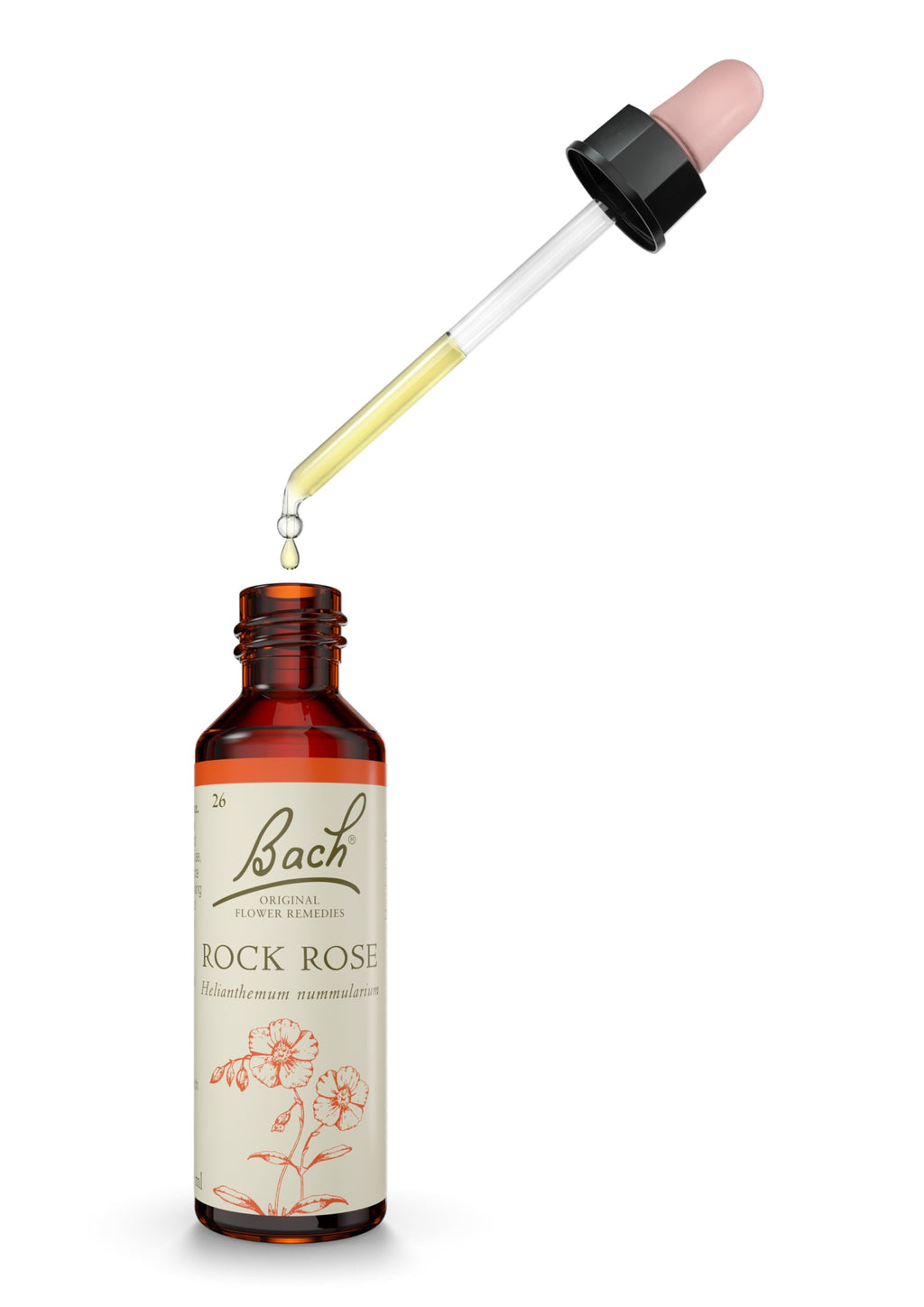Bach Original Flower Remedies Rock Rose, Face Your Fears, Be Fearless, Emotional Wellness, Natural Flower Essence, 20ml - New - BBE 07/2030