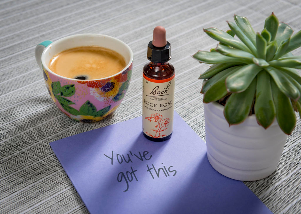 Bach Original Flower Remedies Rock Rose, Face Your Fears, Be Fearless, Emotional Wellness, Natural Flower Essence, 20ml - New - BBE 07/2030