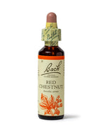 Bach Original Flower Remedies Rock Rose, Face Your Fears, Be Fearless, Emotional Wellness, Natural Flower Essence, 20ml - New - BBE 07/2030