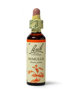 Bach Original Flower Remedies Rock Rose, Face Your Fears, Be Fearless, Emotional Wellness, Natural Flower Essence, 20ml - New - BBE 07/2030