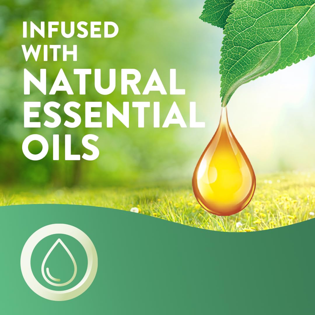 Air Wick Plug-In Diffuser Twin Refill - Fresh Spring Oasis - 2 x 19ml - Long Lasting Air Freshener - 200 Days - New