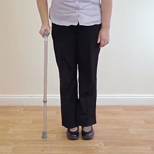 NRS Coopers Walking Stick - Adjustable Height - Large - Very Good