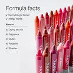 Clinique Chubby Stick Tinted Lip Color Balm | Moisturising + Hydrating, 3 g - New