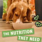 Lily's Kitchen Adult Dry Dog Food Chicken & Duck Grain-Free 7kg Bag Natural Ingredients - Damaged Box - BBE 08/2027