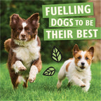 Lily's Kitchen Adult Dry Dog Food Chicken & Duck Grain-Free 7kg Bag Natural Ingredients - Damaged Box - BBE 08/2027
