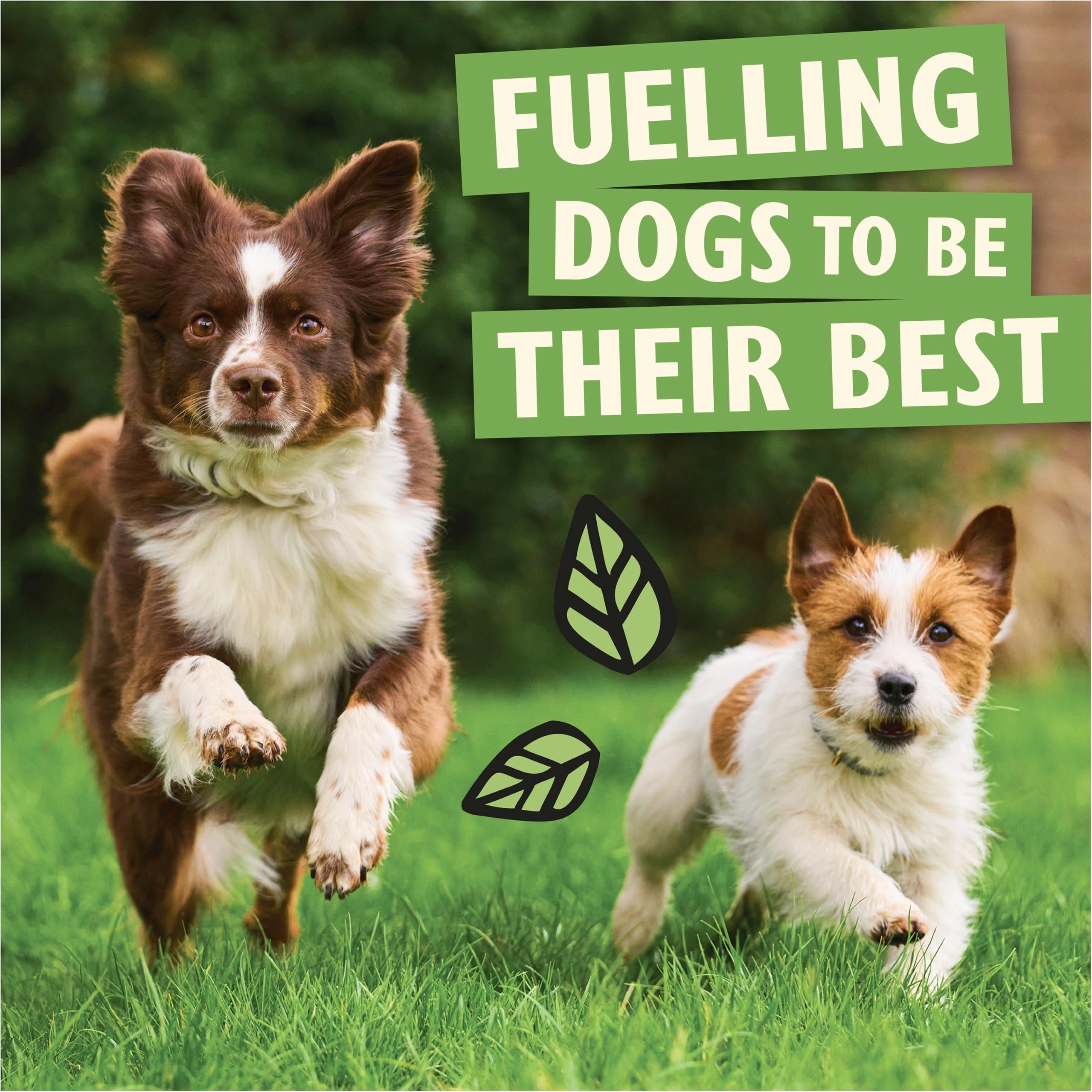 Lily's Kitchen Adult Dry Dog Food Chicken & Duck Grain-Free 7kg Bag Natural Ingredients - Damaged Box - BBE 08/2027