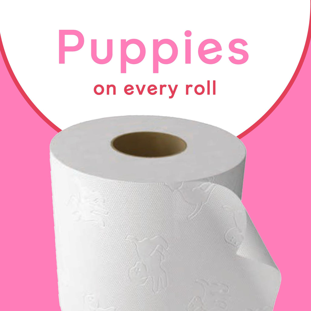 Andrex Family Soft Toilet Roll - 72 Toilet Rolls, Bulk Buy, Fragrance Free, FSC Certified - Damaged Box