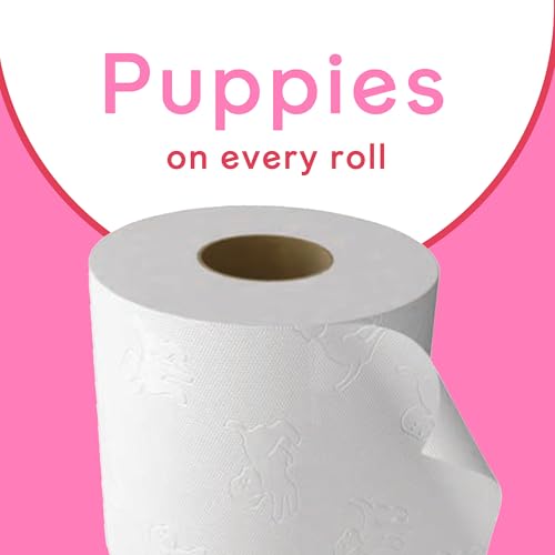 Andrex Family Soft Toilet Roll - 72 Toilet Rolls, Bulk Buy, Fragrance Free, FSC Certified - Damaged Box
