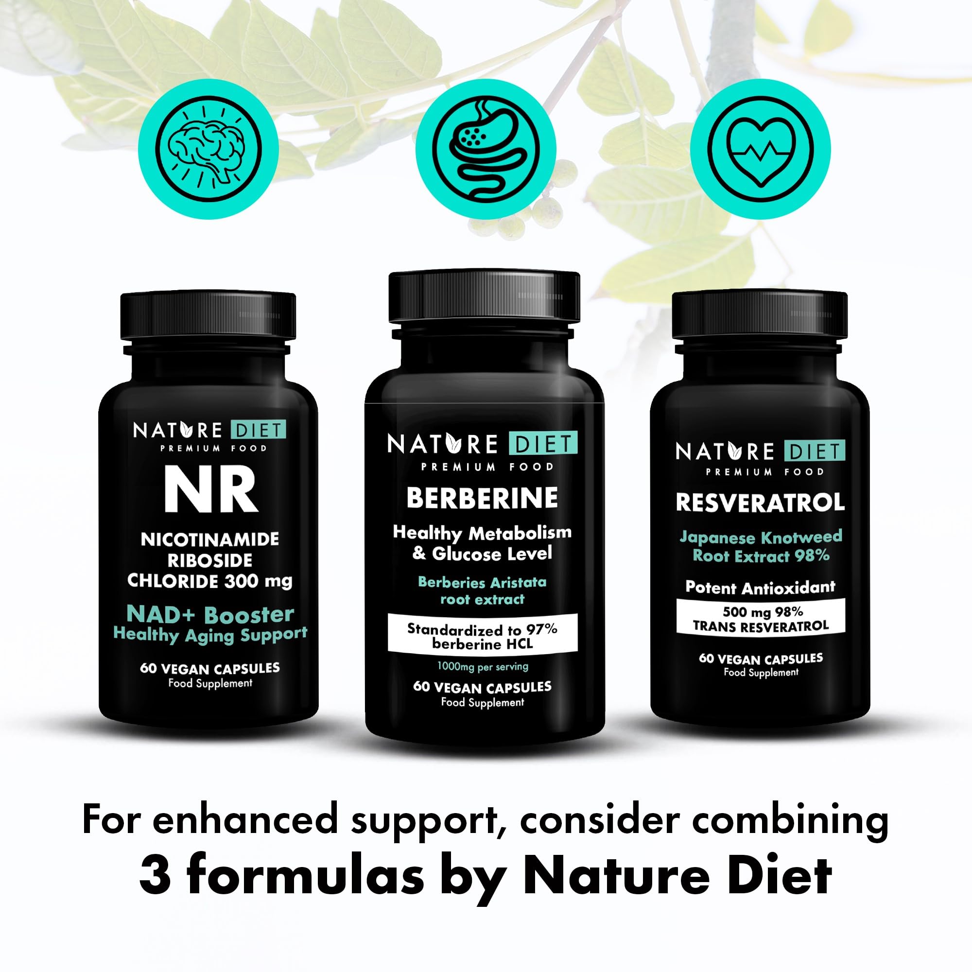 Nature Diet Berberine, 1000 mg Berberine HCL per Serving, 60 Vegan Capsules - Damaged Box - BBE 07/2026