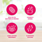 Fabulosa Concentrated Antibacterial Disinfectant - All Purpose Cleaner - 220ml - Intense - 12 Pack - 4 in 1 Formula - New
