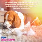 Pro-Kleen Pro+ Carpet & Upholstery Cleaning Solution 5L - 4-in-1 Concentrate Pet Odour Remover - Spring Bloom Shampoo - Very Good
