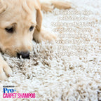 Pro-Kleen Pro+ Carpet & Upholstery Cleaning Solution 5L - 4-in-1 Concentrate Pet Odour Remover - Spring Bloom Shampoo - Very Good
