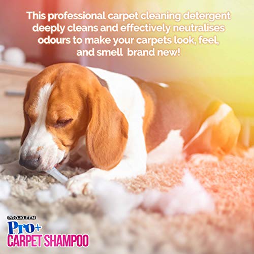 Pro-Kleen Pro+ Carpet & Upholstery Cleaning Solution 5L - 4-in-1 Concentrate Pet Odour Remover - Spring Bloom Shampoo - Very Good