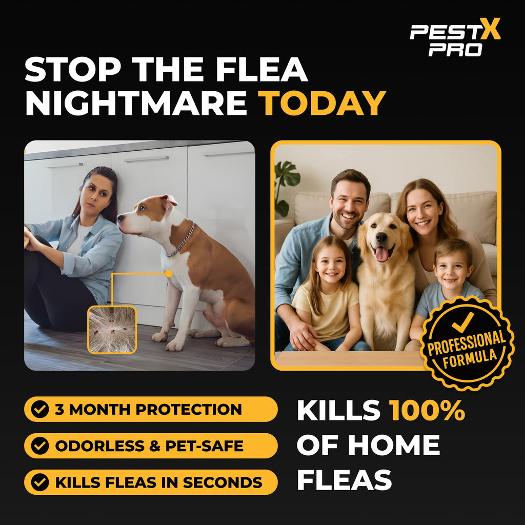 Pest X Pro Bolt Flea Killer Spray 500ml - Fast-Acting Permethrin Formula - Home Household Carpet Furniture Pest Control Treatment - New