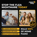 Pest X Pro Bolt Flea Killer Spray 500ml - Fast-Acting Permethrin Formula - Home Household Carpet Furniture Pest Control Treatment - New