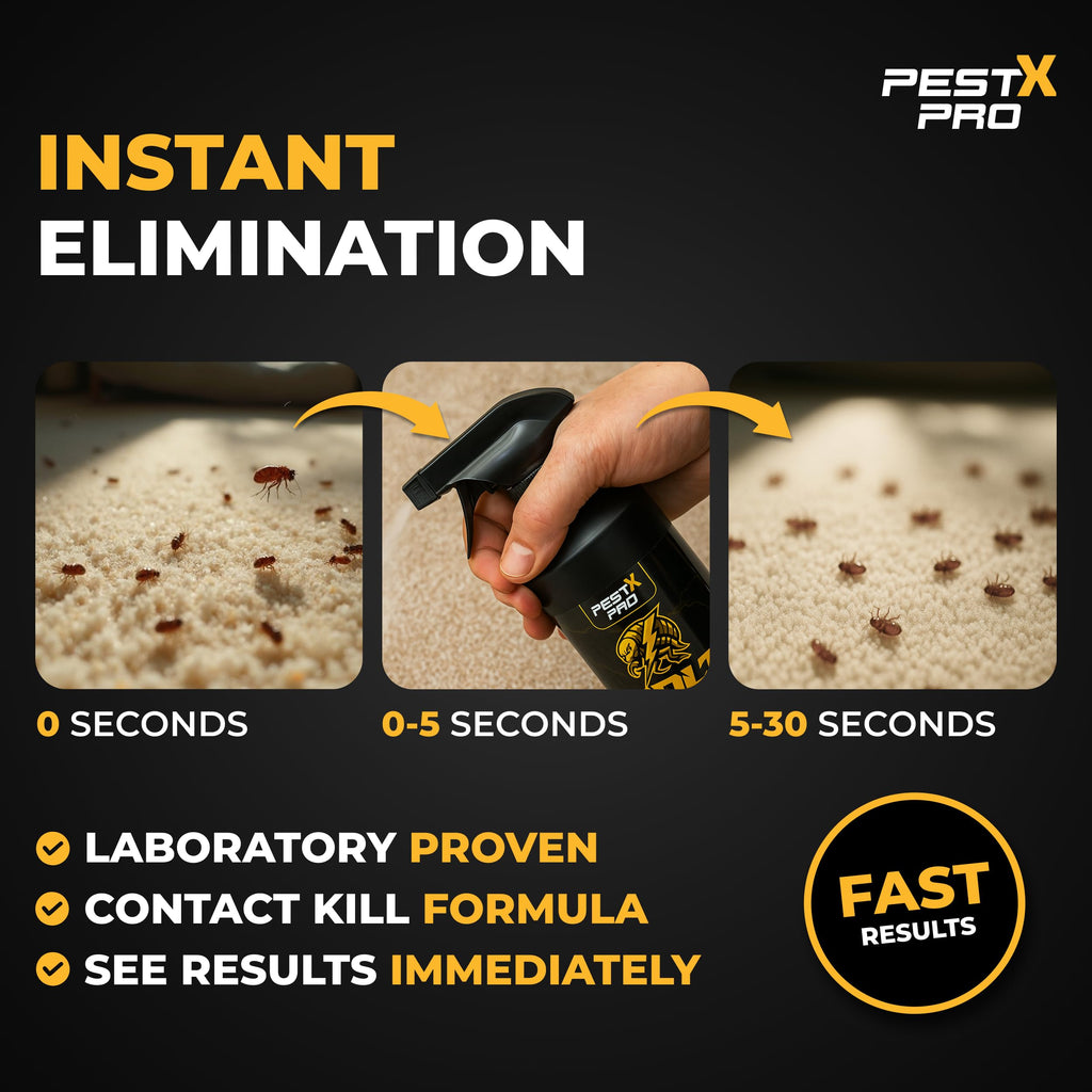 Pest X Pro Bolt Flea Killer Spray 500ml - Fast-Acting Permethrin Formula - Home Household Carpet Furniture Pest Control Treatment - New