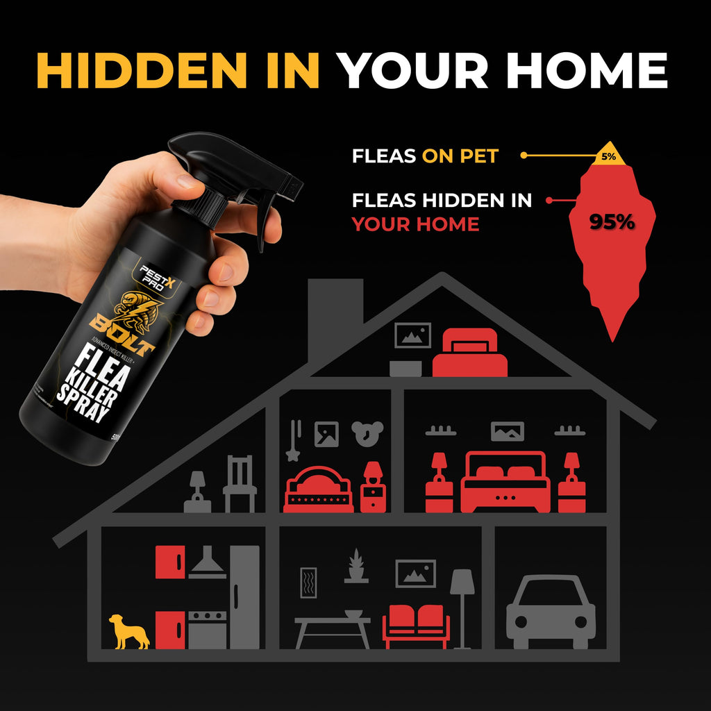 Pest X Pro Bolt Flea Killer Spray 500ml - Fast-Acting Permethrin Formula - Home Household Carpet Furniture Pest Control Treatment - New