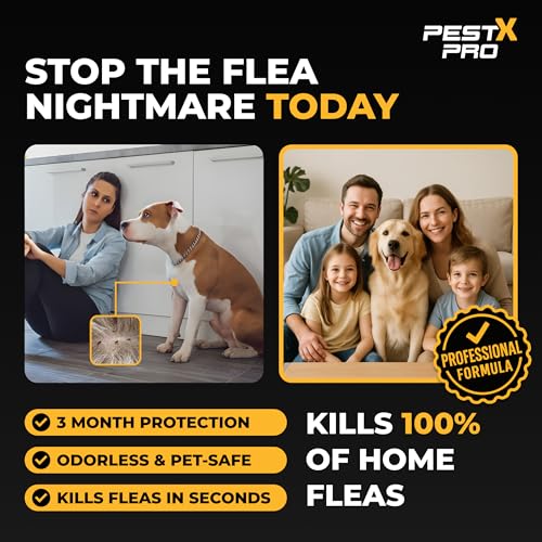 Pest X Pro Bolt Flea Killer Spray 500ml - Fast-Acting Permethrin Formula - Home Household Carpet Furniture Pest Control Treatment - New