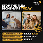 Pest X Pro Bolt Flea Killer Spray 500ml - Fast-Acting Permethrin Formula - Home Household Carpet Furniture Pest Control Treatment - New