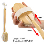 Dry Brushing Body Brush - Long Handle Natural Bristle Exfoliator for Wet Dry Showering, Back Scrubber, Large Dead Skin Remover - Damaged Box